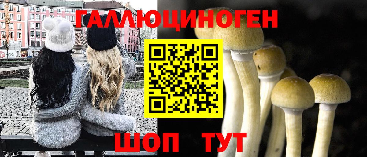 Галлюциногенные грибы GOLDEN TEACHER Саров